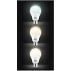 Ampoule KOOL.STAR LAMP LED 23