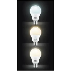Ampoule KOOL.STAR LAMP LED 23