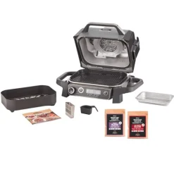 Barbecue de table NINJA WOODFIRE OG701EU