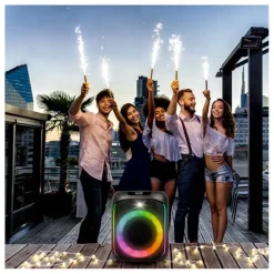 Enceinte Sono PICKERING SOUNDKUB 160