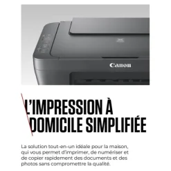 Imprimante CANON MG2556S multifonction SANS WIFI