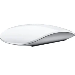 Souris APPLE Magic Mouse reconditionnée grade A