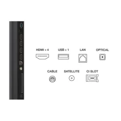 TV MINILED 55